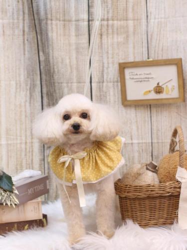 20241022リコちゃん